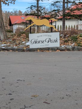 ノーザンホースパークに投稿された画像（2024/11/21）