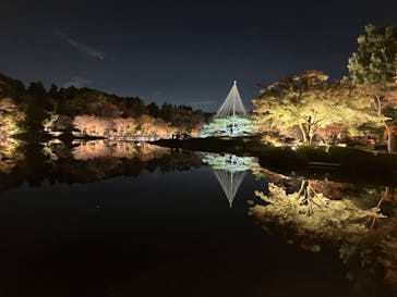 国営昭和記念公園 秋の夜散歩に投稿された画像（2024/11/21）