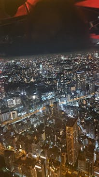 東京タワーに投稿された画像（2024/11/21）