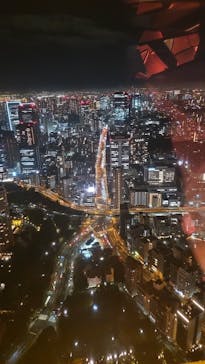 東京タワーに投稿された画像（2024/11/21）