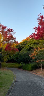 万博記念公園に投稿された画像（2024/11/21）