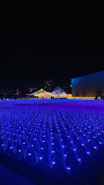 東京メガイルミに投稿された画像（2024/11/21）