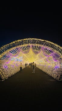 東京メガイルミに投稿された画像（2024/11/21）