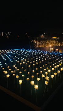 東京メガイルミに投稿された画像（2024/11/21）