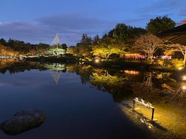 国営昭和記念公園 秋の夜散歩に投稿された画像（2024/11/21）