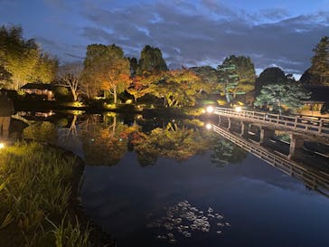 国営昭和記念公園 秋の夜散歩に投稿された画像（2024/11/21）