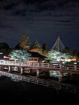 国営昭和記念公園 秋の夜散歩に投稿された画像（2024/11/21）