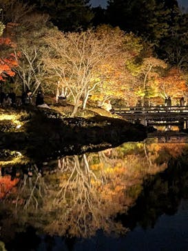 国営昭和記念公園 秋の夜散歩に投稿された画像（2024/11/21）