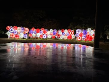 国営昭和記念公園 秋の夜散歩に投稿された画像（2024/11/21）