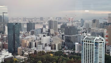 東京タワーに投稿された画像（2024/11/21）