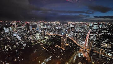 東京タワーに投稿された画像（2024/11/21）