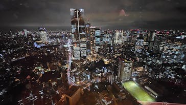 東京タワーに投稿された画像（2024/11/21）