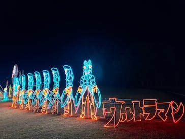 鹿児島イルミナージュに投稿された画像（2024/11/21）