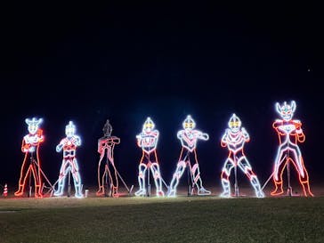 鹿児島イルミナージュに投稿された画像（2024/11/21）