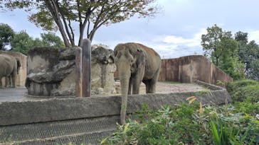 日立市かみね動物園に投稿された画像（2024/11/21）