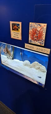 のとじま水族館に投稿された画像（2024/11/21）