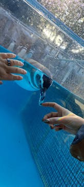 のとじま水族館に投稿された画像（2024/11/21）