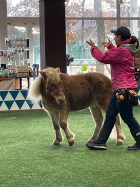 ノーザンホースパークに投稿された画像（2024/11/21）