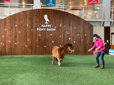 ノーザンホースパークに投稿された画像（2024/11/21）