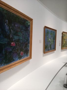 モネ 睡蓮のとき（国立西洋美術館）に投稿された画像（2024/11/21）