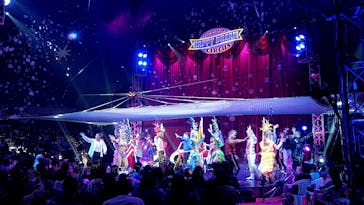 ハッピードリームサーカス湘南・平塚公演に投稿された画像（2024/11/21）