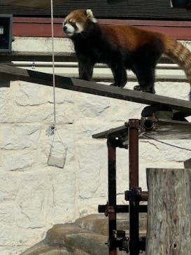 天王寺動物園に投稿された画像（2024/11/22）