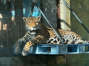 天王寺動物園に投稿された画像（2024/11/22）