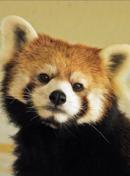 ネオパークオキナワに投稿された画像（2024/6/17）