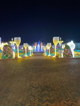 神戸イルミナージュに投稿された画像（2024/11/22）