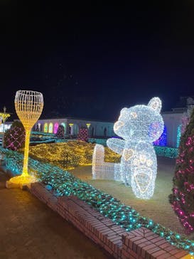 神戸イルミナージュに投稿された画像（2024/11/22）