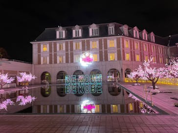 神戸イルミナージュに投稿された画像（2024/11/22）