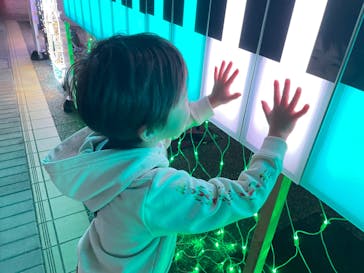 神戸イルミナージュに投稿された画像（2024/11/22）