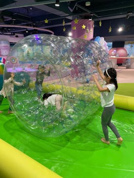 ビオスの丘に投稿された画像（2024/11/22）