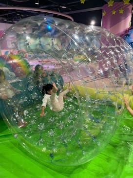 ビオスの丘に投稿された画像（2024/11/22）