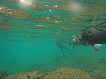 武藤潜水に投稿された画像（2024/11/22）