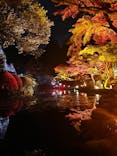 NAKED夜さんぽ™ 石川・那谷寺に投稿された画像（2024/11/22）