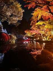 NAKED夜さんぽ™ 石川・那谷寺に投稿された画像（2024/11/22）