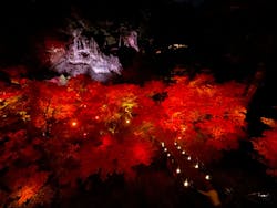 NAKED夜さんぽ™ 石川・那谷寺に投稿された画像（2024/11/22）