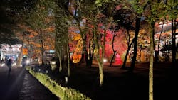 NAKED夜さんぽ™ 石川・那谷寺に投稿された画像（2024/11/22）