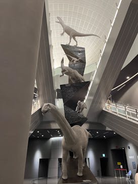 福井県立恐竜博物館に投稿された画像（2024/11/22）