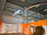 特別展「鳥 ～ゲノム解析が解き明かす新しい鳥類の系統～」国立科学博物館に投稿された画像（2024/11/22）