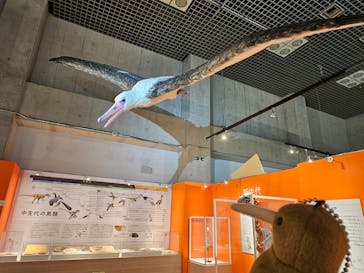特別展「鳥 ～ゲノム解析が解き明かす新しい鳥類の系統～」国立科学博物館に投稿された画像（2024/11/22）