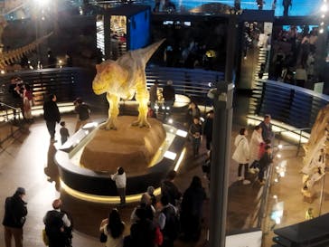 福井県立恐竜博物館に投稿された画像（2024/11/22）