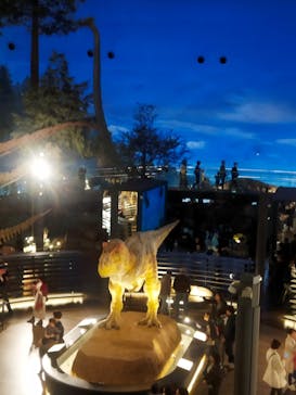 福井県立恐竜博物館に投稿された画像（2024/11/22）