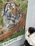 名古屋市東山動植物園に投稿された画像（2024/11/22）