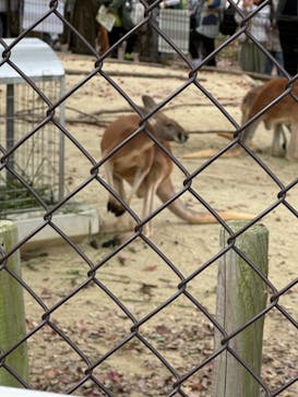 名古屋市東山動植物園に投稿された画像（2024/11/22）