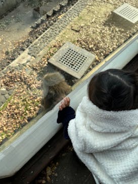 名古屋市東山動植物園に投稿された画像（2024/11/22）