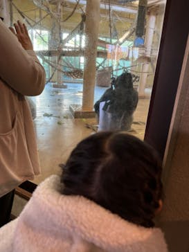 名古屋市東山動植物園に投稿された画像（2024/11/22）