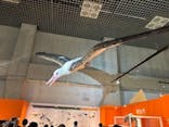 特別展「鳥 ～ゲノム解析が解き明かす新しい鳥類の系統～」国立科学博物館に投稿された画像（2024/11/22）