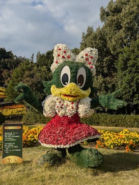 レオマリゾートに投稿された画像（2024/11/22）